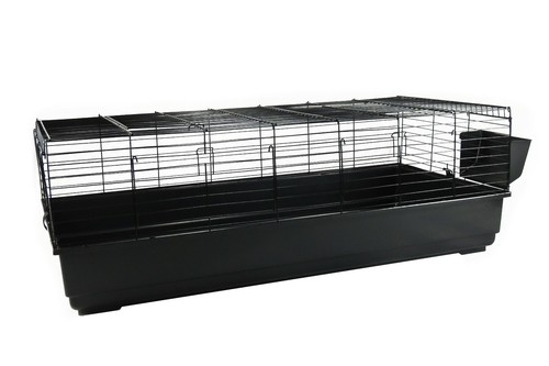 Rabbit guinea pig extra large - pig,
