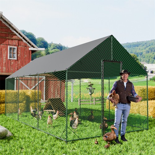 Large metal walk chicken - metal,