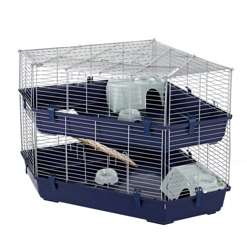 Rabbit guinea pig large - pig, indoor
