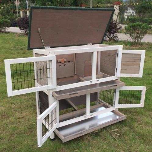 Grey rabbit hutch guinea - hutch, pig