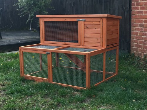 Rabbit guinea pig hutch - rabbit, /