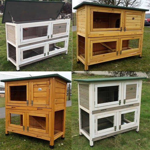 Large rabbit hutch guinea pig - rabbit,