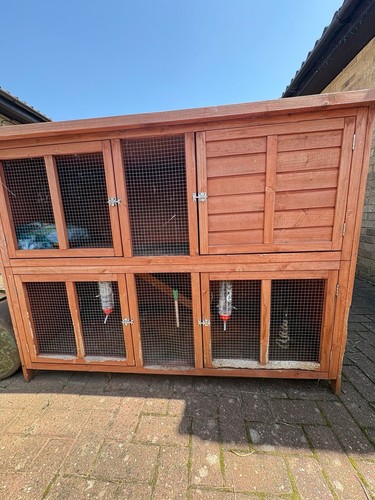 Large rabbit hutch guinea pig - hutch,