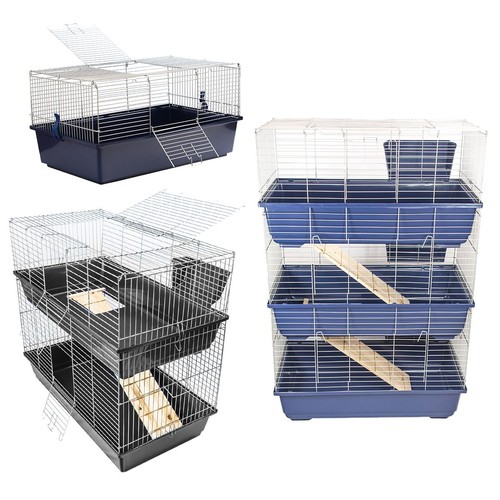 Indoor rabbit pet - pet, cage