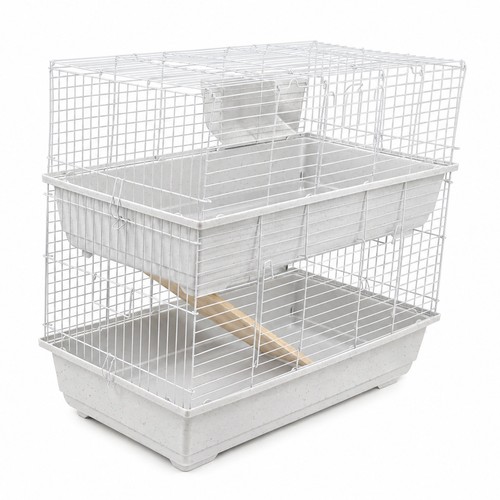 Rabbit guinea pig large double - guinea,