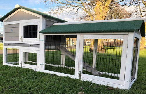 Large rabbit hutch guinea pig - hutch,