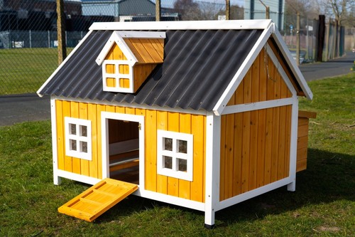 Large chicken coop hen - large, house