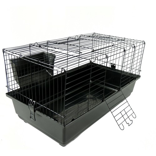 Rabbit guinea pig - rabbit, cage