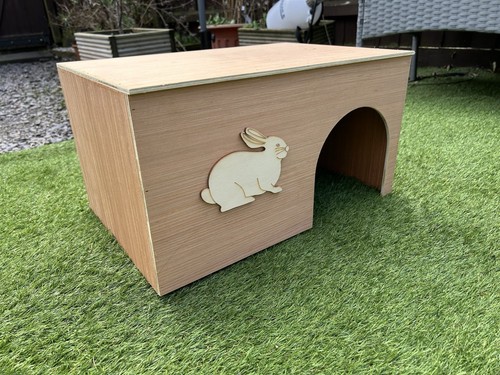 New design large - , rabbit
