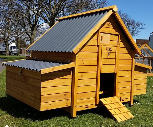 Large chicken coop run hen - large,