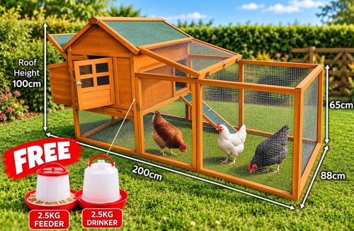 Large chicken coop - coop, run...hen