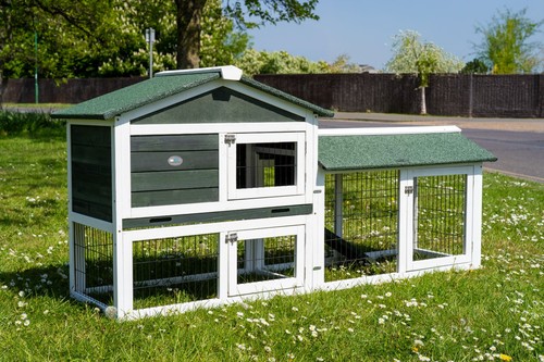 Large smokey green rabbit - smokey,