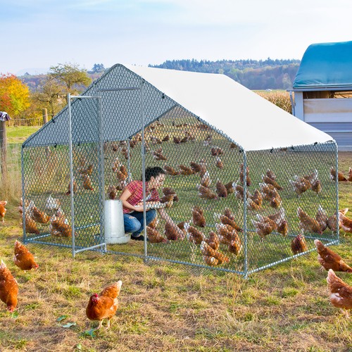 Metal chicken run - metal,