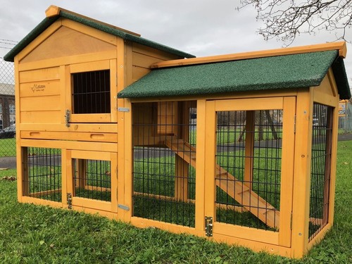Rabbit hutch guinea - hutch,