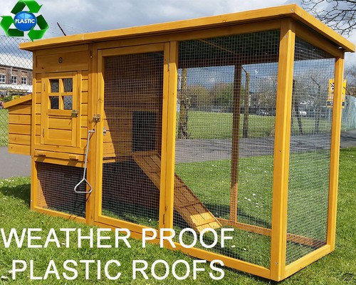 Plastic roof chicken - plastic,
