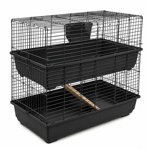 Rabbit guinea pig large double - rabbit,