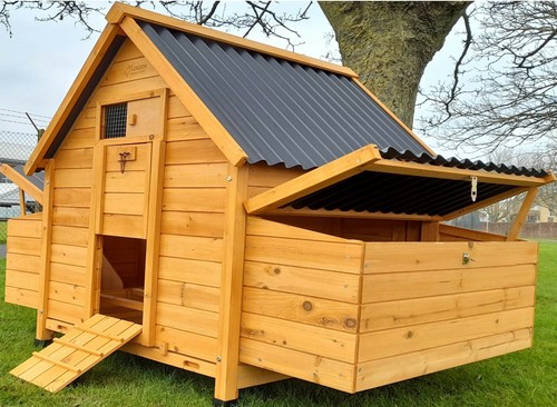 Eco1000 large chicken - large,